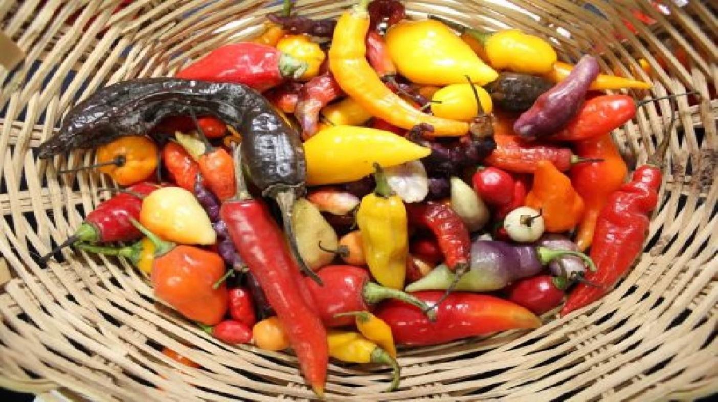 Caracter&iacute;sticas &Uacute;nicas de la Gastronom&iacute;a Peruana con Nelson Rafael Bustamante Abidar