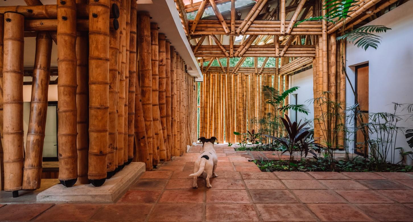 Materiales Ecol&oacute;gicos y T&eacute;cnicas de Construcci&oacute;n con Menor Impacto Ambiental