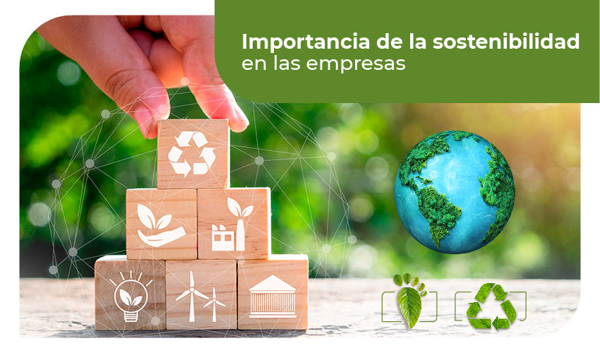 El Impacto de la Sostenibilidad en la Industria de las Bebidas Alcoh&oacute;licas