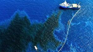 C&oacute;mo Afecta el Derrame de Petr&oacute;leo a la Biodiversidad Marina