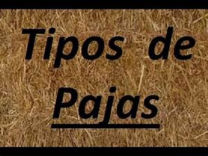 Treseus | C&oacute;mo mejorar la calidad de la paja para el ganado
