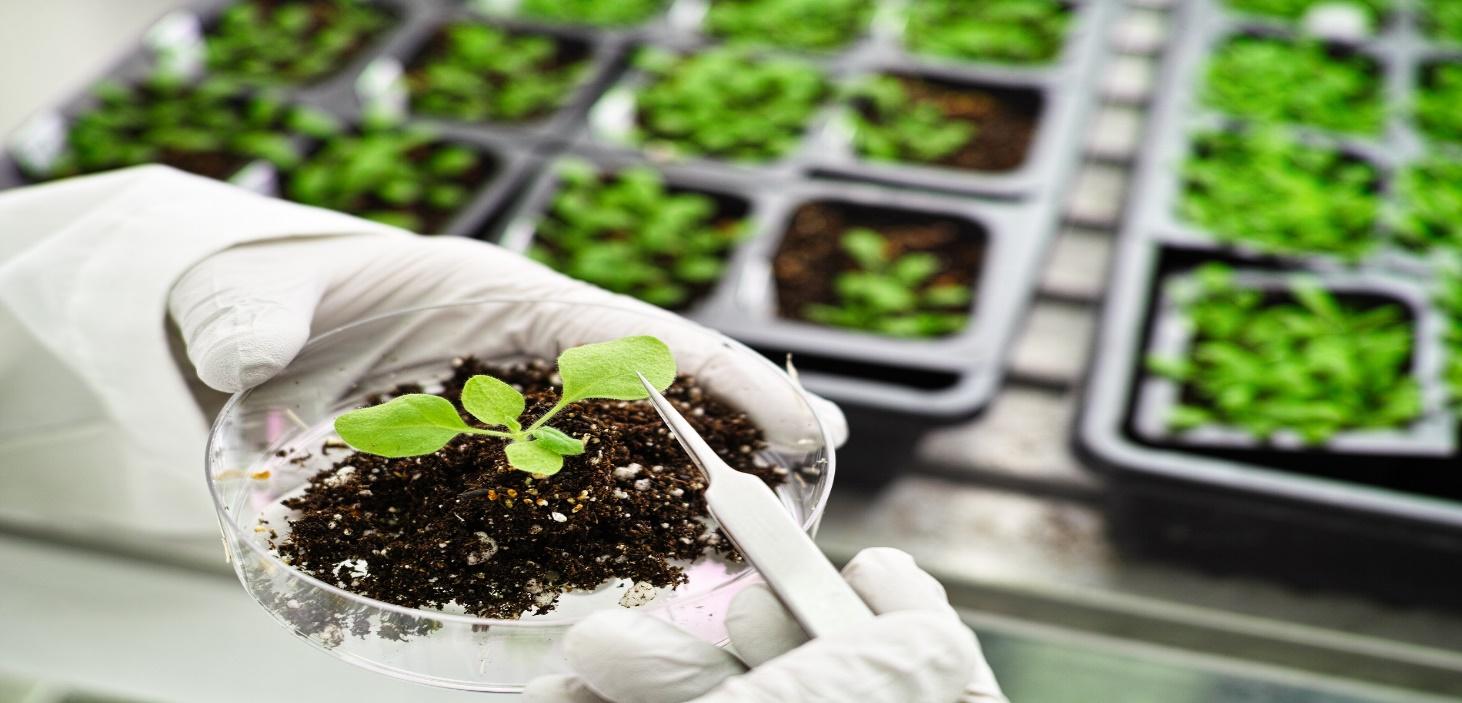 Metropolitan Distribuitors | C&oacute;mo Est&aacute; Impactando la Biotecnolog&iacute;a en la Creaci&oacute;n de Nuevos Sabores de Bebidas Alcoh&oacute;licas
