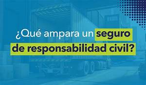 Los Riesgos M&aacute;s Comunes Cubiertos por los Seguros de Responsabilidad Civil