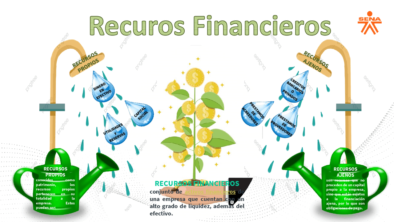 Tipos de Recursos Financieros y su Utilización Tipos de Recursos Financieros y su Utilización