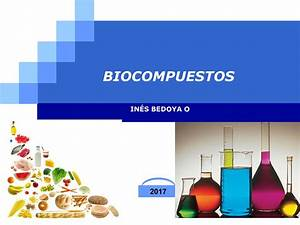 Los Materiales M&aacute;s Sostenibles para la Construcci&oacute;n Actual