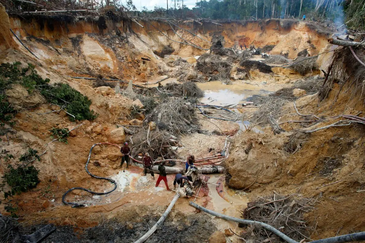 El Impacto de la Miner&iacute;a Ilegal en la Ecolog&iacute;a Venezolana