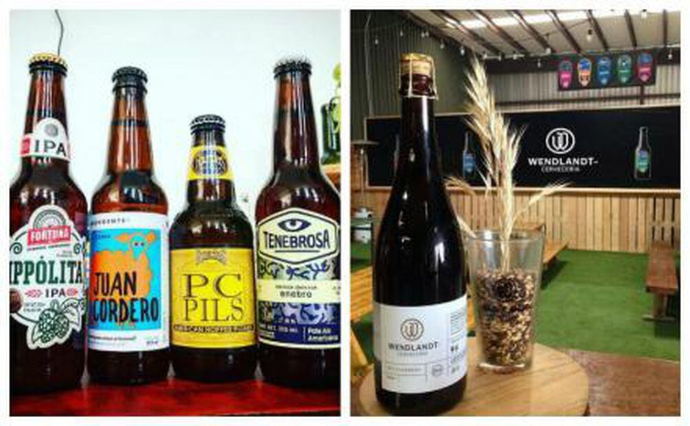 C&oacute;mo Ha Evolucionado la Producci&oacute;n de Cerveza Artesanal en los &Uacute;ltimos A&ntilde;os
