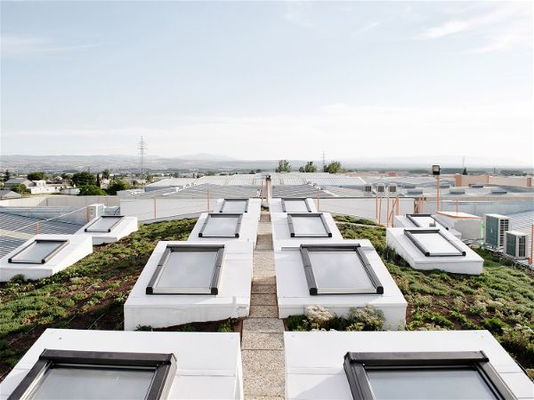 Arquitecturas Sustentables en el Mundo: Innovaci&oacute;n y Respeto por el Medio Ambiente