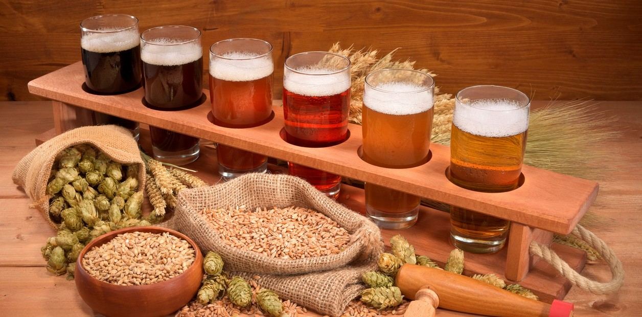 C&oacute;mo Ha Evolucionado la Producci&oacute;n de Cerveza Artesanal en los &Uacute;ltimos A&ntilde;os