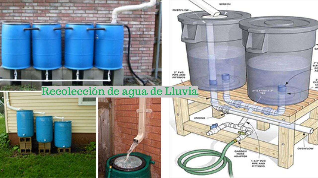 Cómo se Puede Aplicar la Arquitectura Sustentable en Edificios Urbanos Cómo se Puede Aplicar la Arquitectura Sustentable en Edificios Urbanos