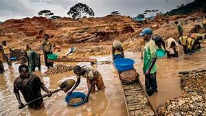 El Impacto de la Miner&iacute;a Ilegal en la Ecolog&iacute;a Venezolana