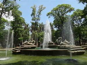 Parques Tem&aacute;ticos en Venezuela: Diversi&oacute;n y Aventura en el Coraz&oacute;n de Am&eacute;rica del Sur