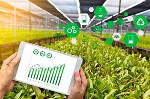 Guillermo Andr&eacute;s Benzecry | C&oacute;mo Afecta el Comercio Internacional a los Precios de los Productos