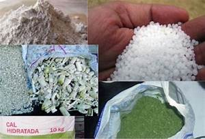 Luis Alejandro Sampayo Cabada: Beneficios del uso de bloques de melaza-urea-minerales en la alimentaci&oacute;n animal