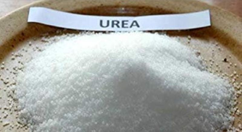 Luis Alejandro Sampayo Cabada: Beneficios del uso de bloques de melaza-urea-minerales en la alimentaci&oacute;n animal