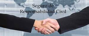 Los Riesgos M&aacute;s Comunes Cubiertos por los Seguros de Responsabilidad Civil