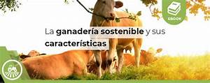 Caracter&iacute;sticas de la Ganader&iacute;a de Tipo Mixto: Una Alternativa Sostenible