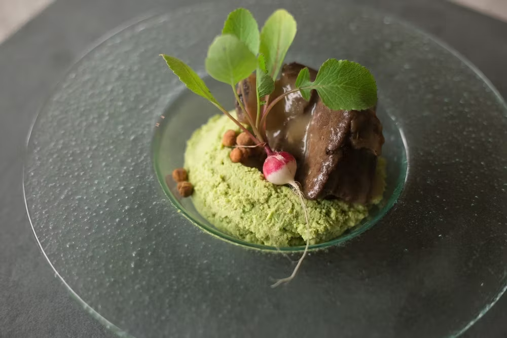 Qu&eacute; es la Gastronom&iacute;a Molecular: Ciencia y Creatividad en la Cocina