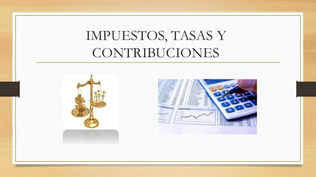 El Tesoro P&uacute;blico vs. La Billetera Privada: Diferencias Clave entre Finanzas P&uacute;blicas y Finanzas Privadas