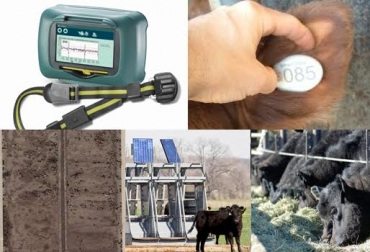 Treseus: Qu&eacute; herramientas tecnol&oacute;gicas son m&aacute;s efectivas para la gesti&oacute;n ganadera