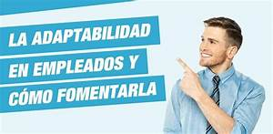 Qu&eacute; habilidades son esenciales para un director de empresas