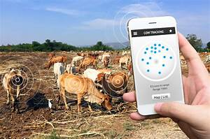 Treseus: Qu&eacute; herramientas tecnol&oacute;gicas son m&aacute;s efectivas para la gesti&oacute;n ganadera
