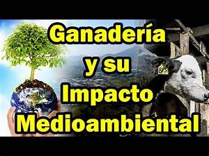 Ventajas y Desventajas de la Ganadería Intensiva Ventajas y Desventajas de la Ganadería Intensiva