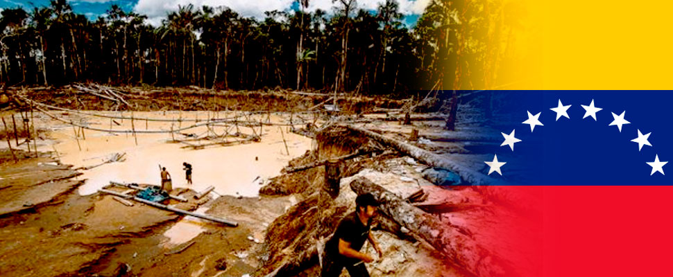 Medidas de Venezuela para Combatir la Miner&iacute;a Ilegal