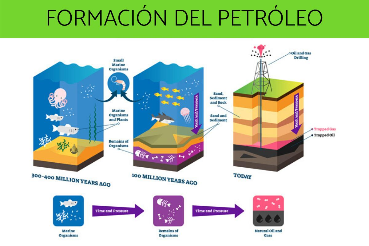 Cu&aacute;les son las 4 Etapas del Petr&oacute;leo: Un An&aacute;lisis Completo