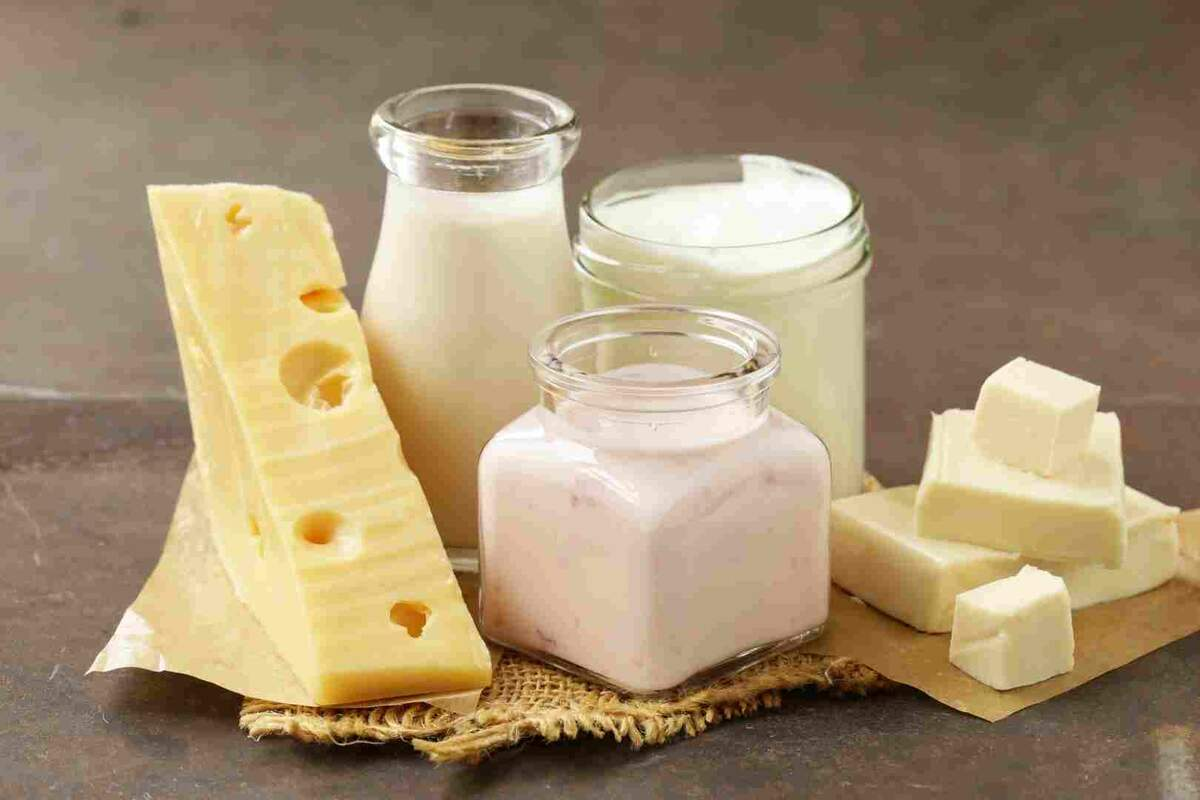 Los Principales Ingredientes que Definen una Gastronomía Los Principales Ingredientes que Definen una Gastronomía