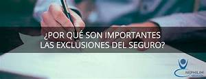 Qu&eacute; Exclusiones Debo Tener en Cuenta al Elegir un Seguro