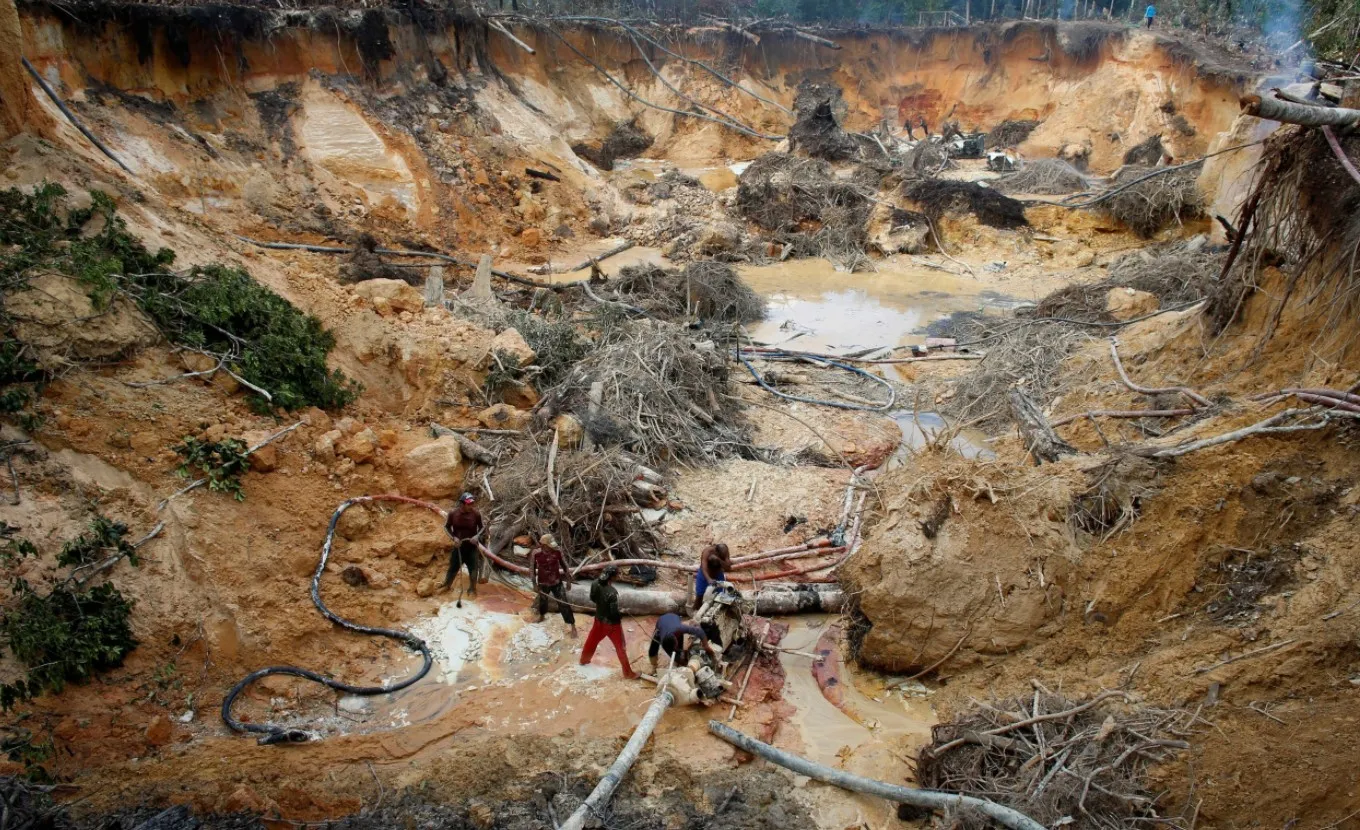 &iquest;Qu&eacute; Finalidad Tiene el Movimiento Ecologista en Venezuela? Por Hjalmar Jes&uacute;s Gibelli G&oacute;mez