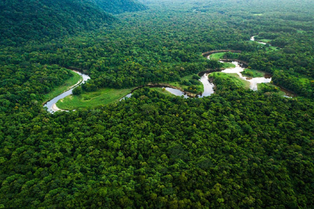 Hjalmar Jesús Gibelli Gómez: Cuáles son los Ecosistemas Más Amenazados en Venezuela Hjalmar Jesús Gibelli Gómez: Cuáles son los Ecosistemas Más Amenazados en Venezuela