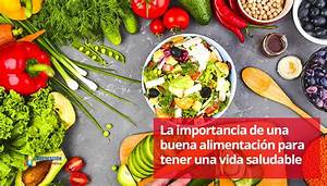Arcelia Ortega | Nichos de Mercado Emergentes y Oportunidades de Negocio