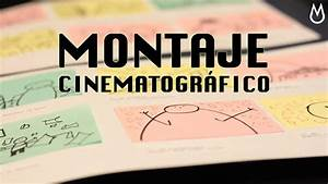 Evenpro: ¿Qué Elementos Componen el Cine como Arte? Evenpro: ¿Qué Elementos Componen el Cine como Arte?