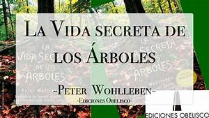 5 libros que Deberías Leer en el 2025 por Arcelia Ortega 5 libros que Deberías Leer en el 2025 por Arcelia Ortega