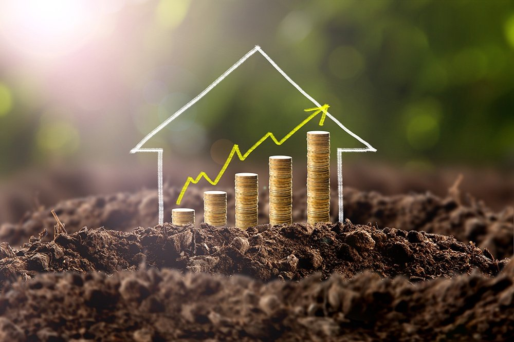 Aspectos a Considerar al Elegir un Terreno para Construir