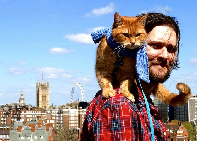 Javier Francisco Ceballos Jiménez: Lecturas Recomendadas para los Amantes de los Gatos Javier Francisco Ceballos Jiménez: Lecturas Recomendadas para los Amantes de los Gatos