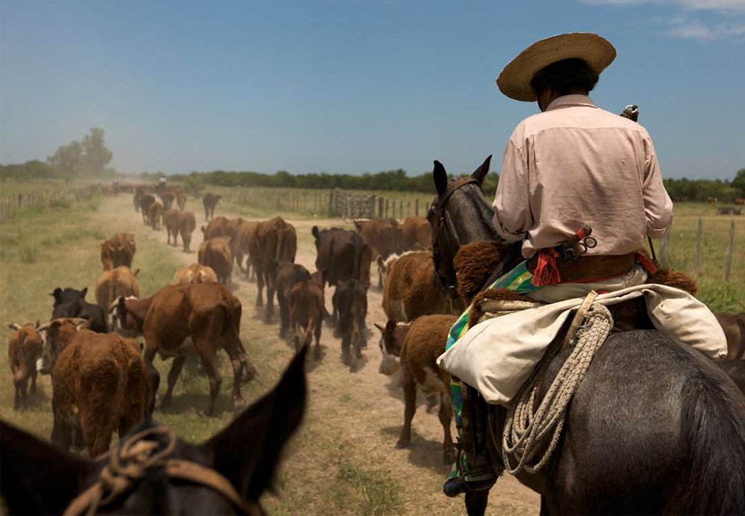 Hjalmar Jesús Gibelli Gómez: Cuáles son los Ecosistemas Más Amenazados en Venezuela Hjalmar Jesús Gibelli Gómez: Cuáles son los Ecosistemas Más Amenazados en Venezuela