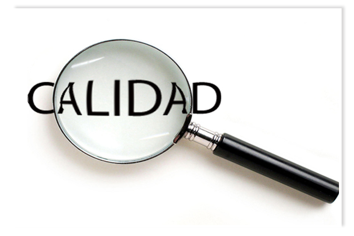M&eacute;todos y Est&aacute;ndares para Asegurar la Calidad de Materiales Utilizados en Proyectos