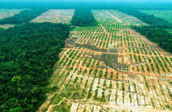Hjalmar Jesús Gibelli Gómez: Cuáles son los Ecosistemas Más Amenazados en Venezuela Hjalmar Jesús Gibelli Gómez: Cuáles son los Ecosistemas Más Amenazados en Venezuela