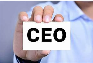 7 errores que Ning&uacute;n CEO se Puede Permitir por Santiago Otero Armengol