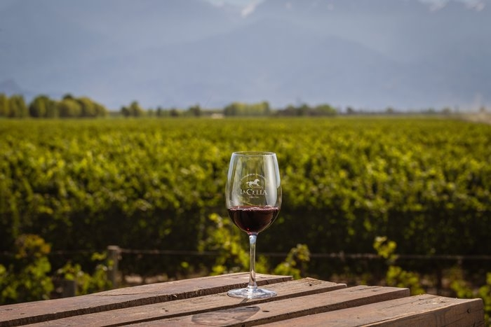 Metropolitan Distribuitors | &iquest;Cu&aacute;l es el Mejor Vino en Venezuela?