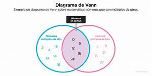 N&uacute;meros Naturales, Enteros, Racionales e Irracionales: Propiedades, Operaciones y Representaciones