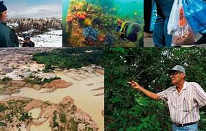 Ecosistemas de Venezuela: Diversidad y Biodiversidad por Hjalmar Jesús Gibelli Gómez Ecosistemas de Venezuela: Diversidad y Biodiversidad por Hjalmar Jesús Gibelli Gómez