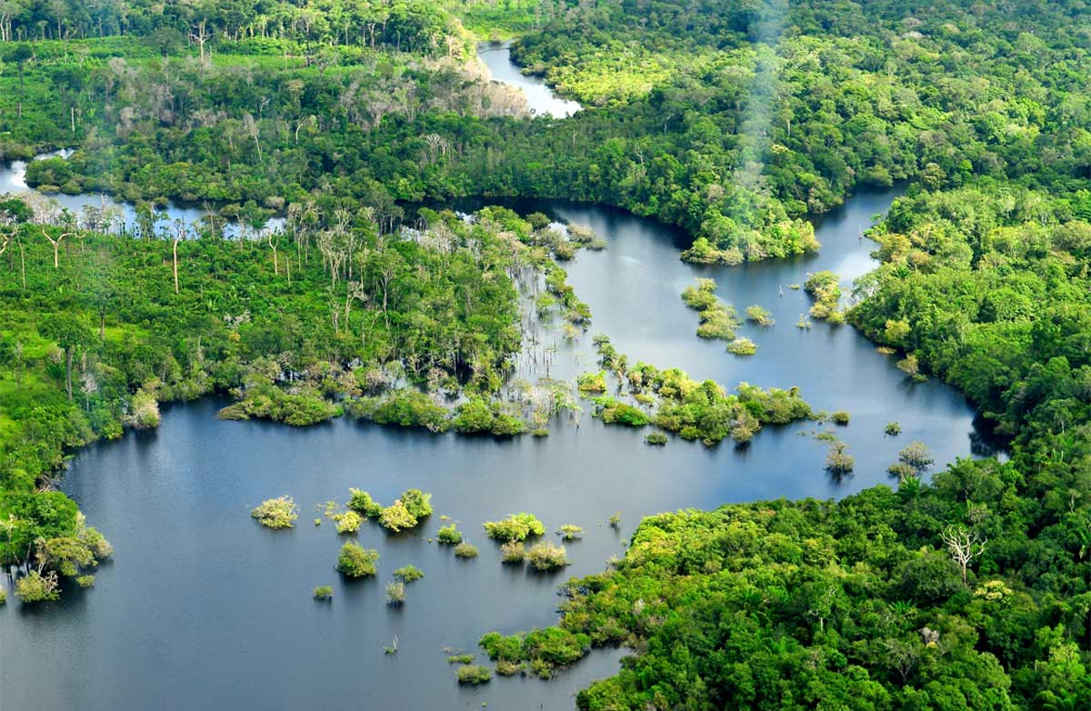 Ecosistemas de Venezuela: Diversidad y Biodiversidad por Hjalmar Jesús Gibelli Gómez Ecosistemas de Venezuela: Diversidad y Biodiversidad por Hjalmar Jesús Gibelli Gómez