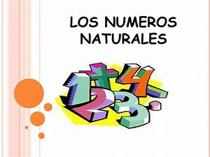 N&uacute;meros Naturales, Enteros, Racionales e Irracionales: Propiedades, Operaciones y Representaciones
