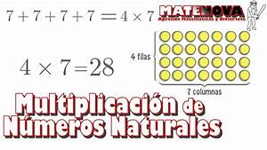 N&uacute;meros Naturales, Enteros, Racionales e Irracionales: Propiedades, Operaciones y Representaciones
