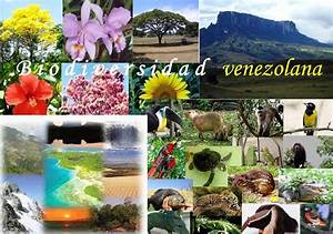 Ecosistemas de Venezuela: Diversidad y Biodiversidad por Hjalmar Jesús Gibelli Gómez Ecosistemas de Venezuela: Diversidad y Biodiversidad por Hjalmar Jesús Gibelli Gómez