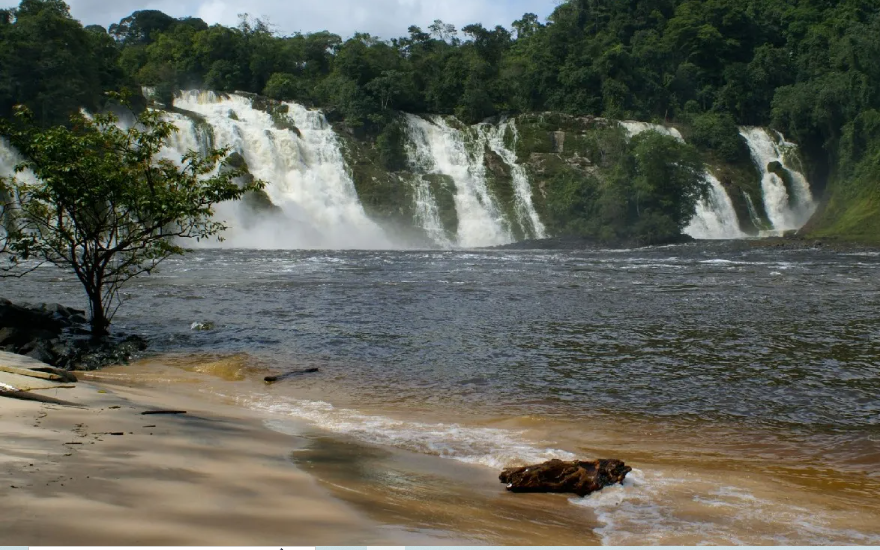 Ecosistemas de Venezuela: Diversidad y Biodiversidad por Hjalmar Jesús Gibelli Gómez Ecosistemas de Venezuela: Diversidad y Biodiversidad por Hjalmar Jesús Gibelli Gómez